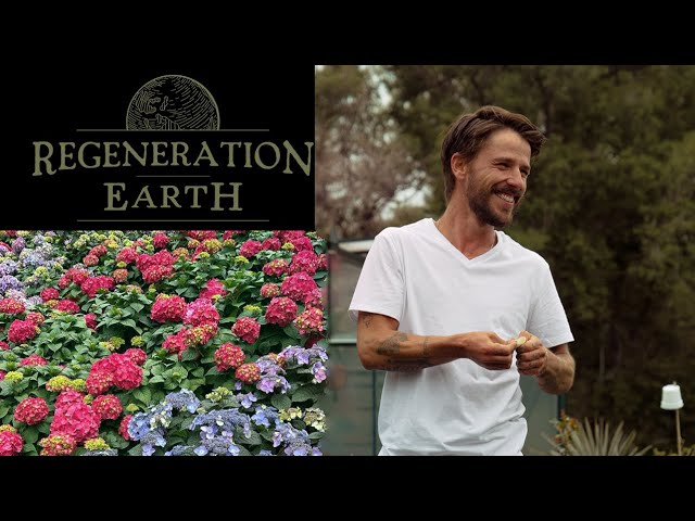 Eric Rooney and Regeneration Earth